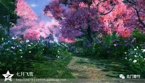 拯救精灵的土地8