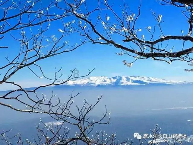 CFO年度人物|陈林履新中国航天科技集团有限公司
