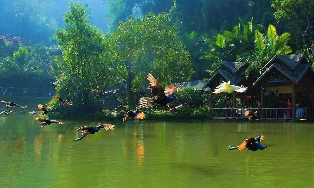 神秘侦探